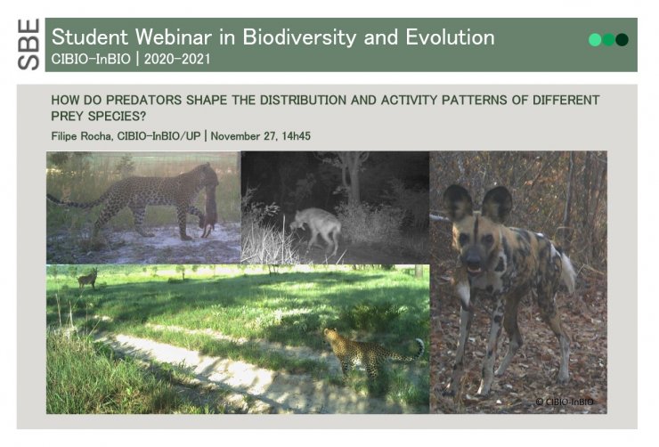 HOW DO PREDATORS SHAPE THE DISTRIBUTION AND ACTIVITY PATTERNS OF DIFFERENT PREY SPECIES?