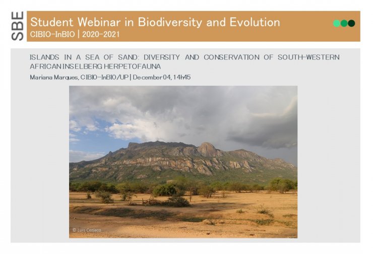 ISLANDS IN A SEA OF SAND: DIVERSITY AND CONSERVATION OF SOUTH-WESTERN AFRICAN INSELBERG HERPETOFAUNA