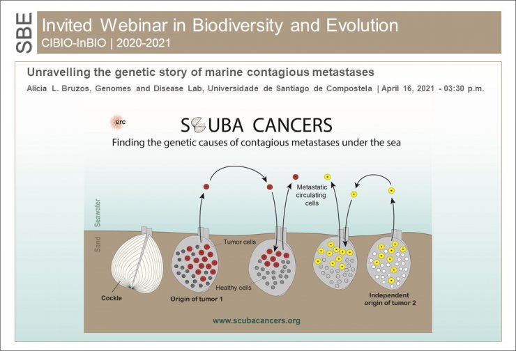 UNRAVELLING THE GENETIC STORY OF MARINE CONTAGIOUS METASTASES