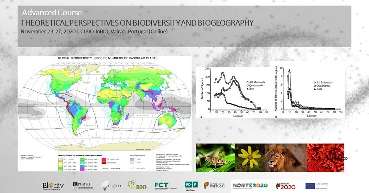THEORETICAL PERSPECTIVES ON BIODIVERSITY AND BIOGEOGRAPHY