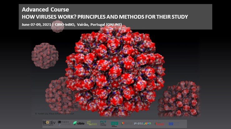 HOW VIRUSES WORK? PRINCIPLES AND METHODS FOR THEIR STUDY