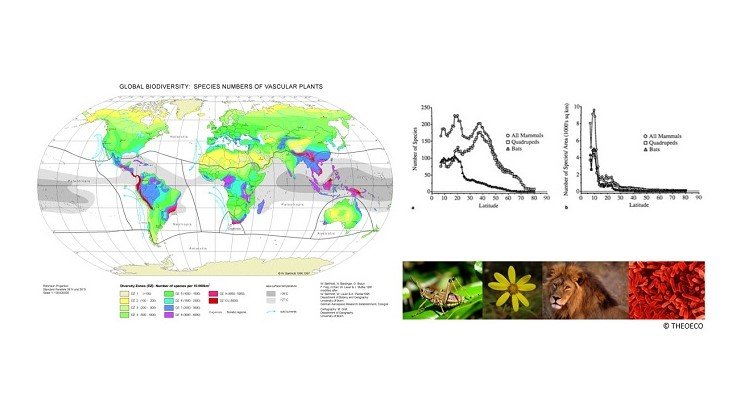 THEORETICAL PERSPECTIVES ON BIODIVERSITY AND BIOGEOGRAPHY