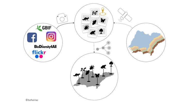 MODELS IN INVASION ECOLOGY: CHALLENGES AND APPLICATIONS