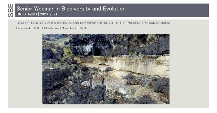 GEOHERITAGE OF SANTA MARIA ISLAND (AZORES): THE ROAD TO THE PALAEOPARK SANTA MARIA