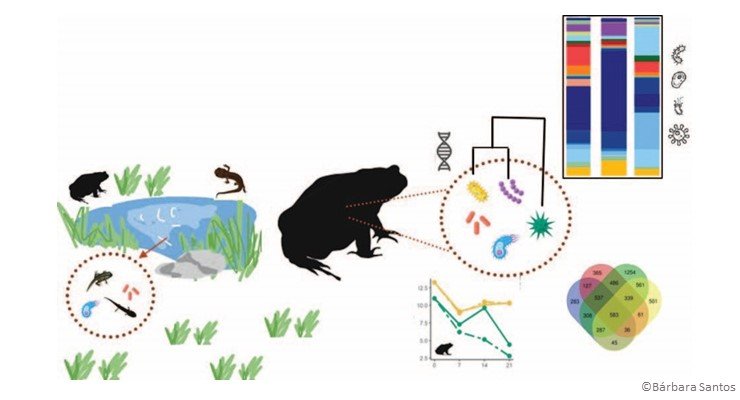 PhD Final Presentation | Bárbara Rosa da Fonseca Santos